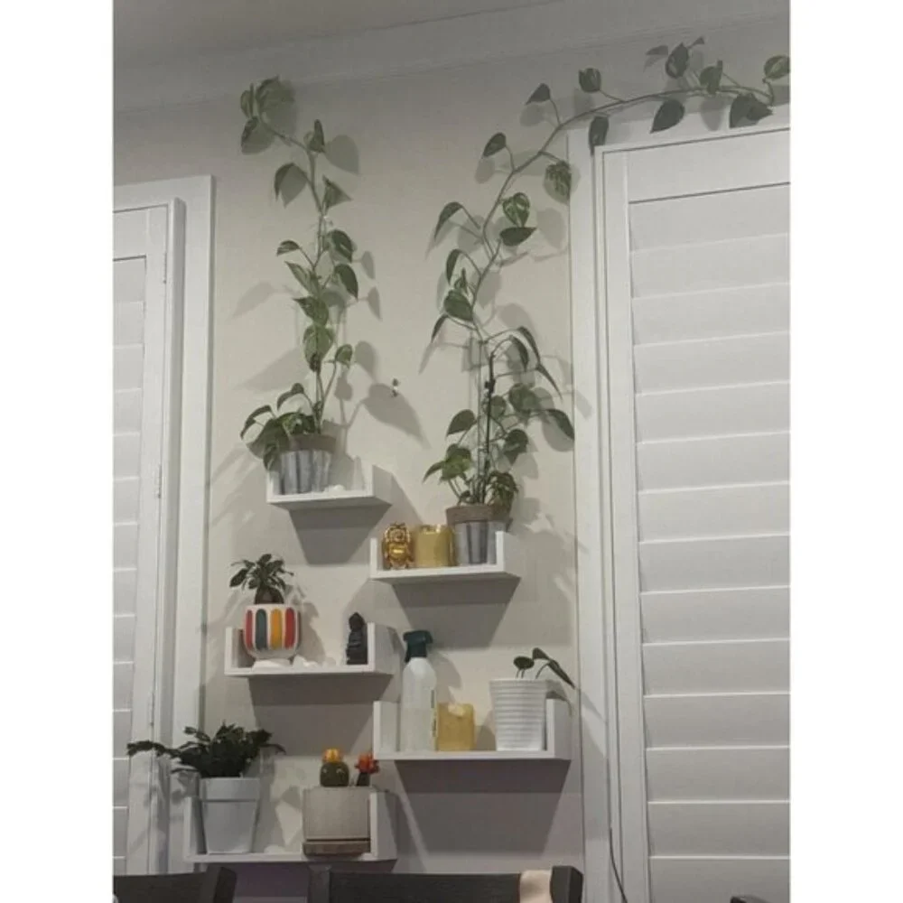New Set of 5 Floating Wall Shelves for Bathroom, Bedroom, and Living Room Decor
